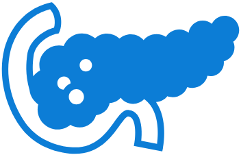 Pancreas icon